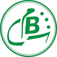 Logo Chinguitty Bank